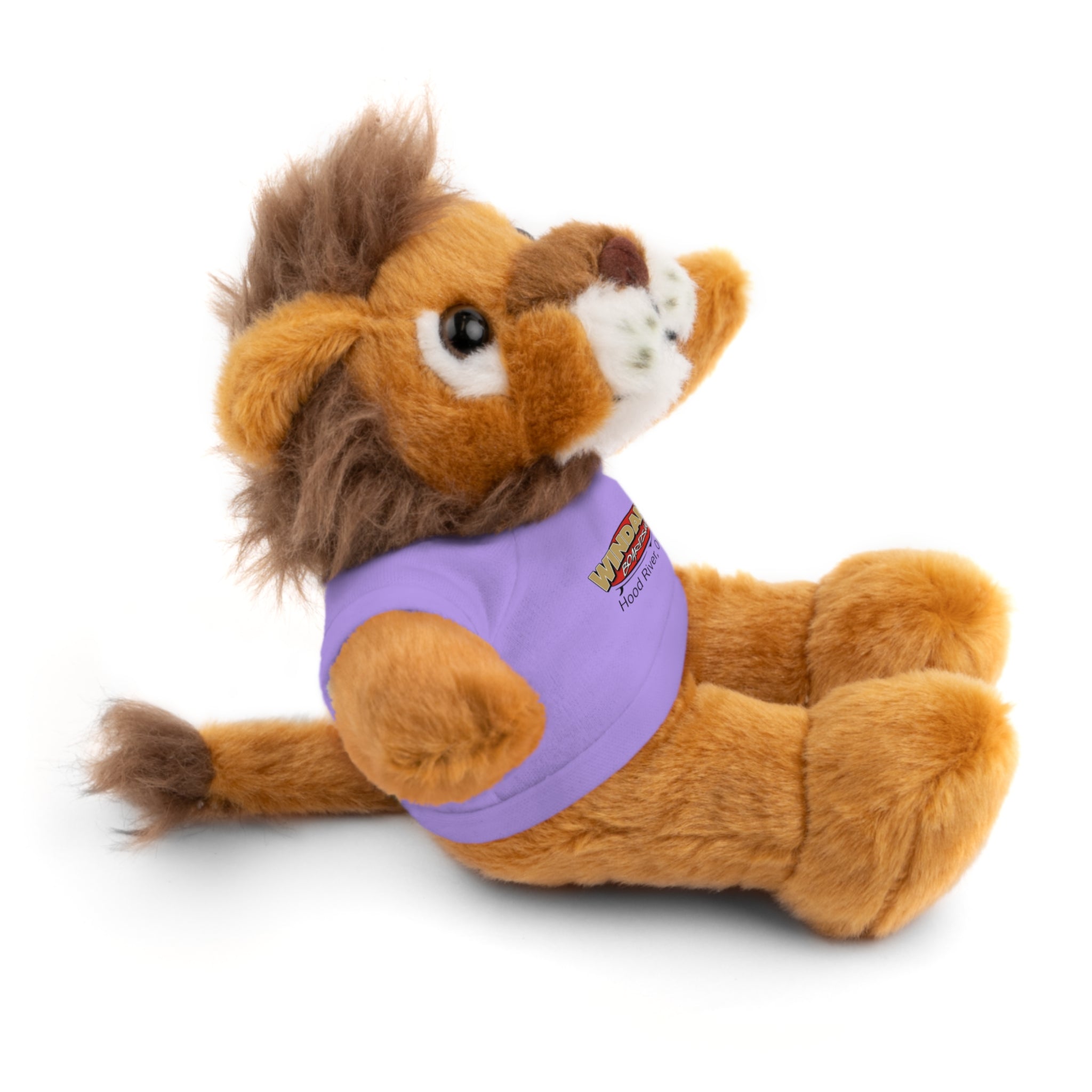 Plush Teddy with Windance Logo Tee — Hood River, Oregon Souvenir Stuffed Animal
