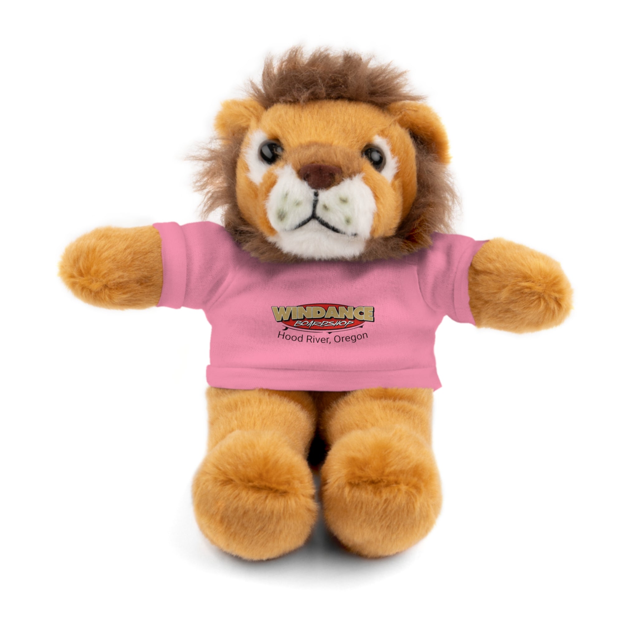 Plush Teddy with Windance Logo Tee — Hood River, Oregon Souvenir Stuffed Animal