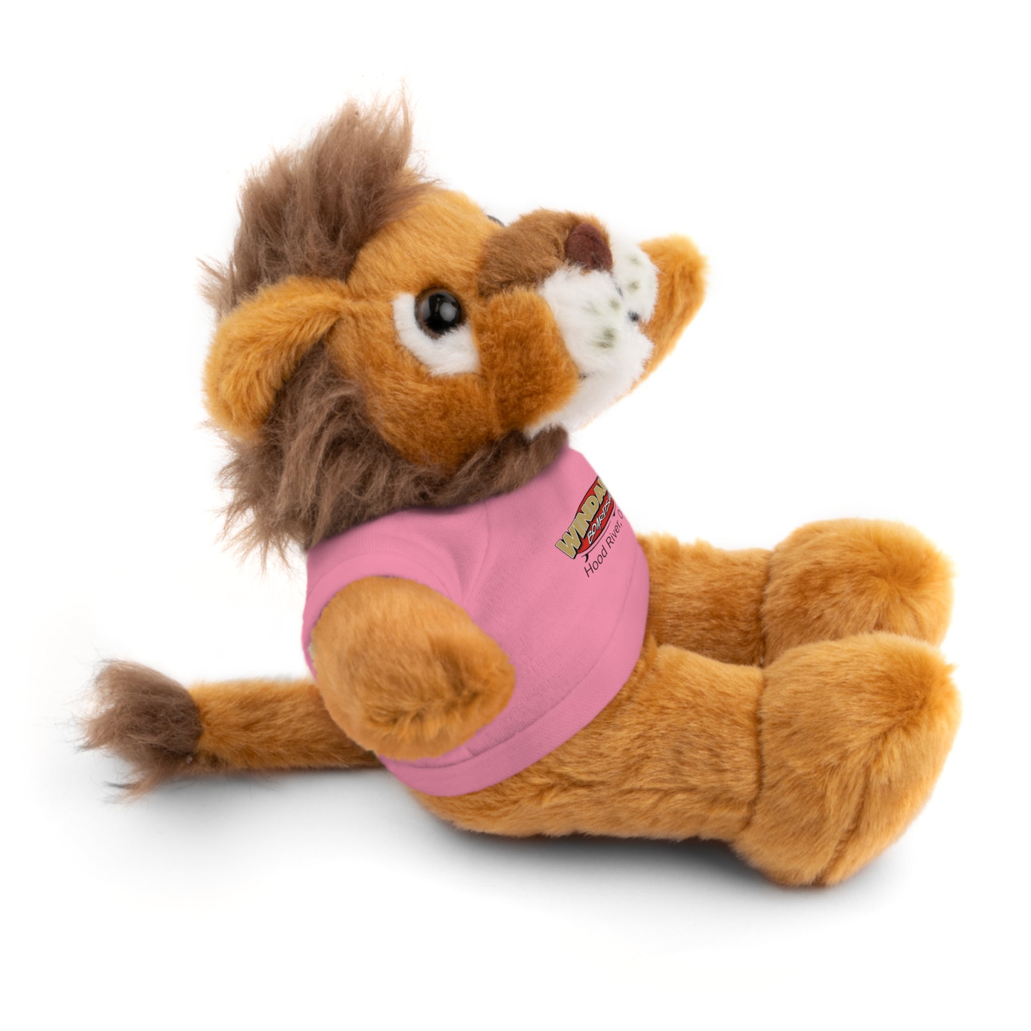 Plush Teddy with Windance Logo Tee — Hood River, Oregon Souvenir Stuffed Animal