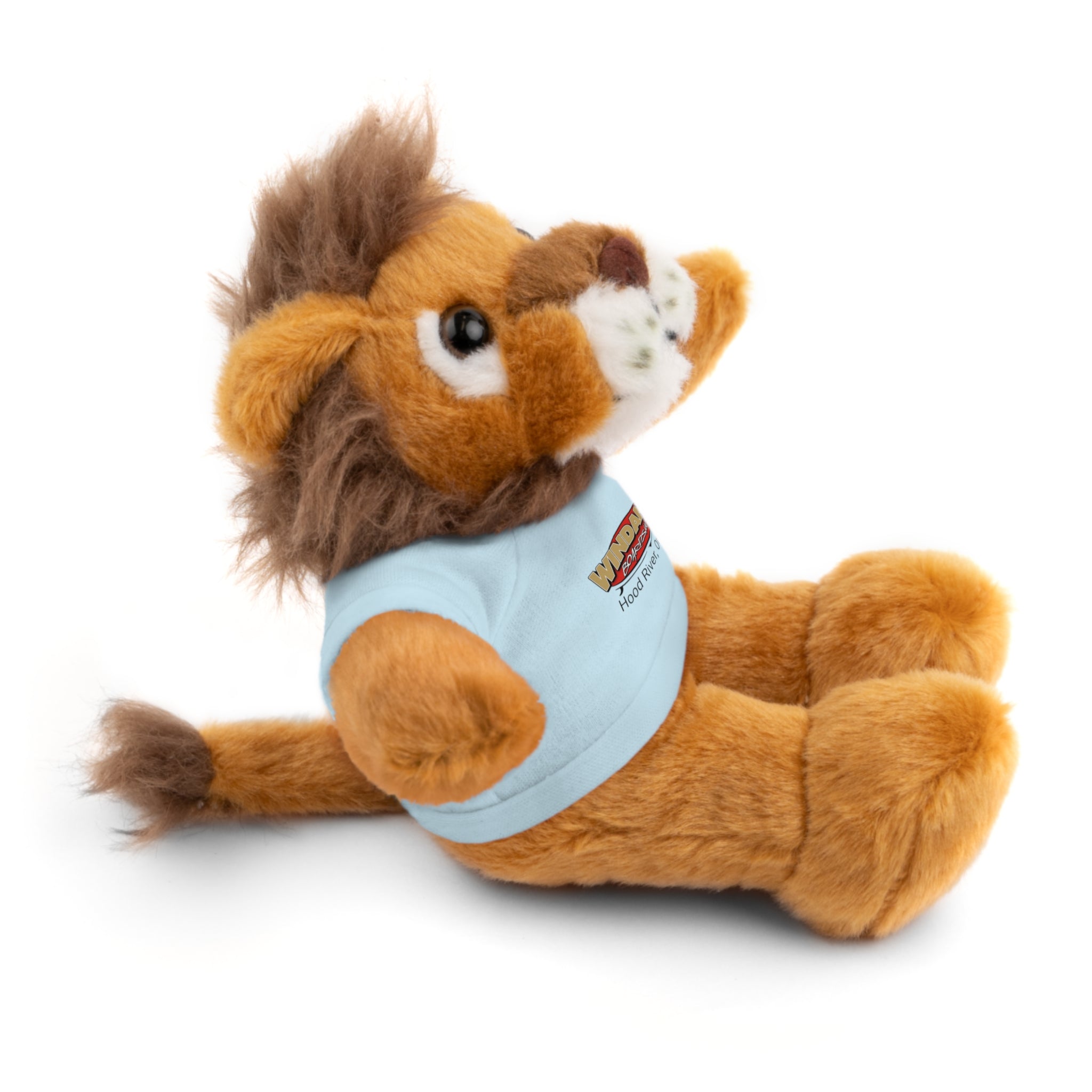 Plush Teddy with Windance Logo Tee — Hood River, Oregon Souvenir Stuffed Animal