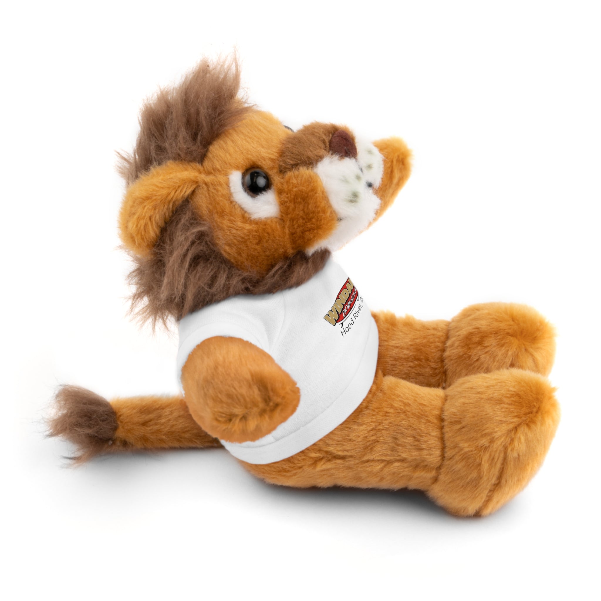 Plush Teddy with Windance Logo Tee — Hood River, Oregon Souvenir Stuffed Animal