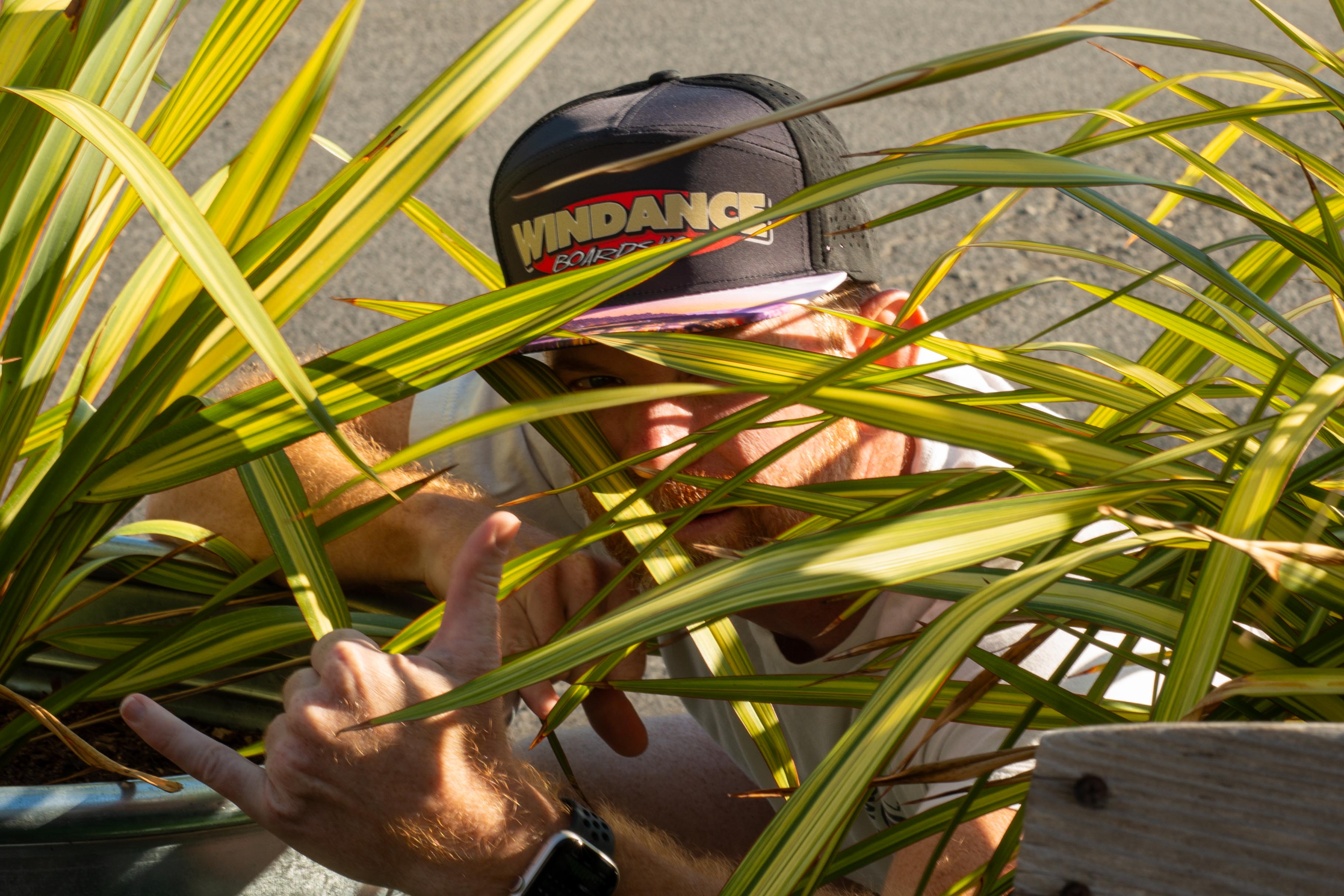 Windance Hood River Bridge Cap