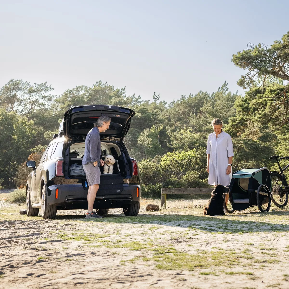 Thule Allax Threshold