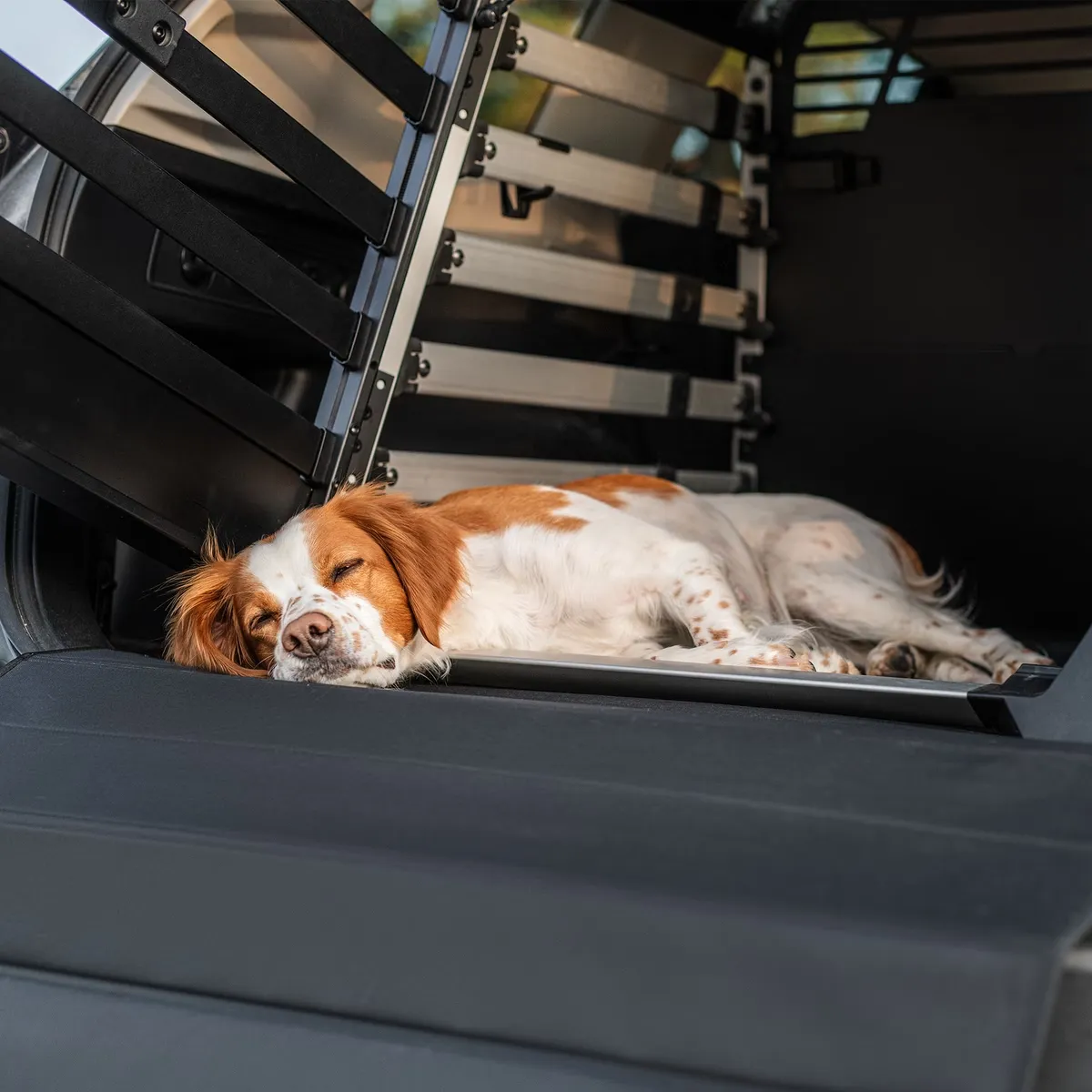 Thule Dog Mat