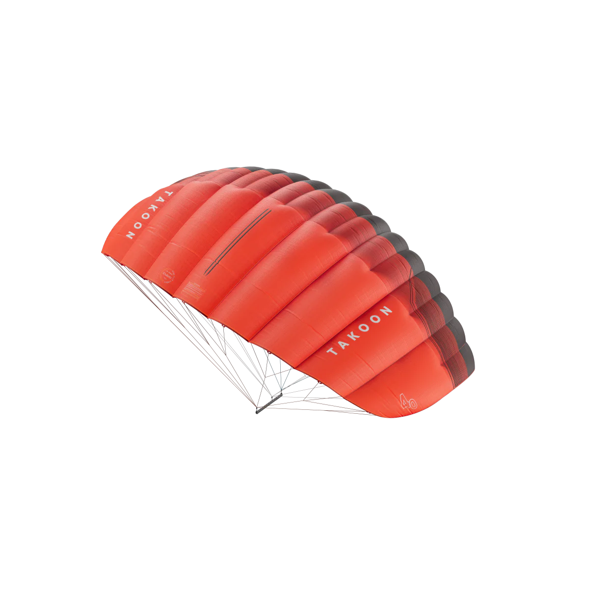 2026 Takoon Cloud One Parawing