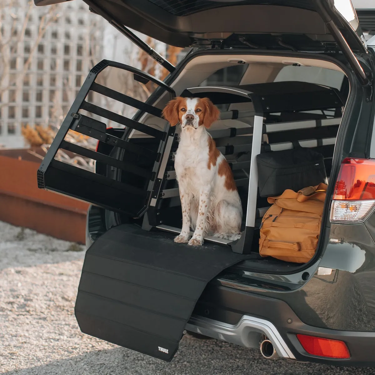 Thule Dog Mat
