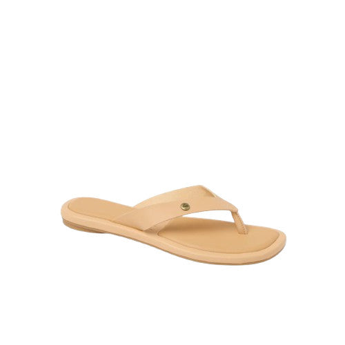 Reef Willow Ella