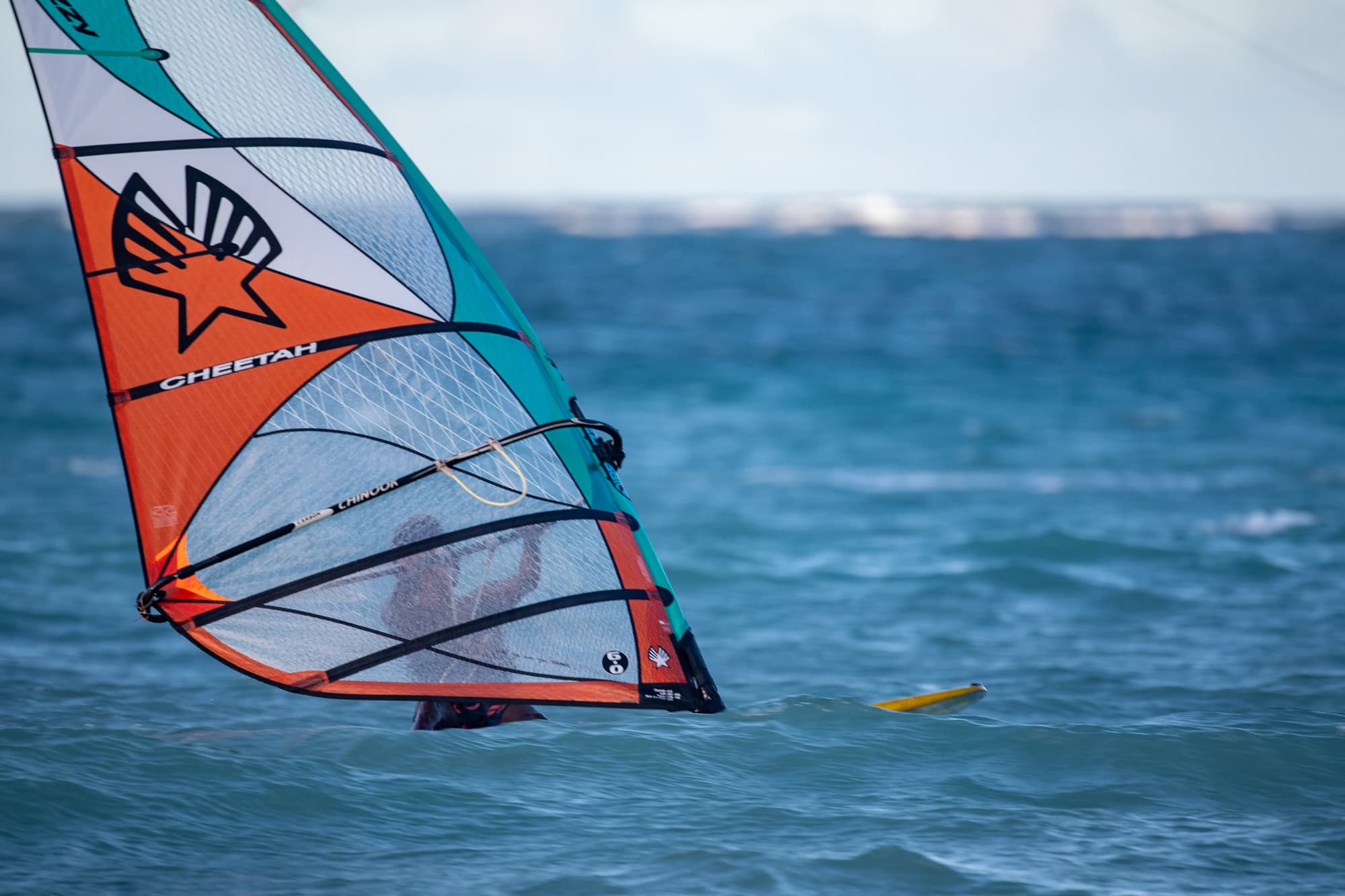 Ezzy Cheetah Windsurf Sail 2026
